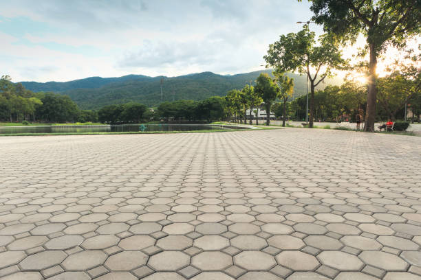 Best Affordable Driveway Pavers  in Darrington, WA